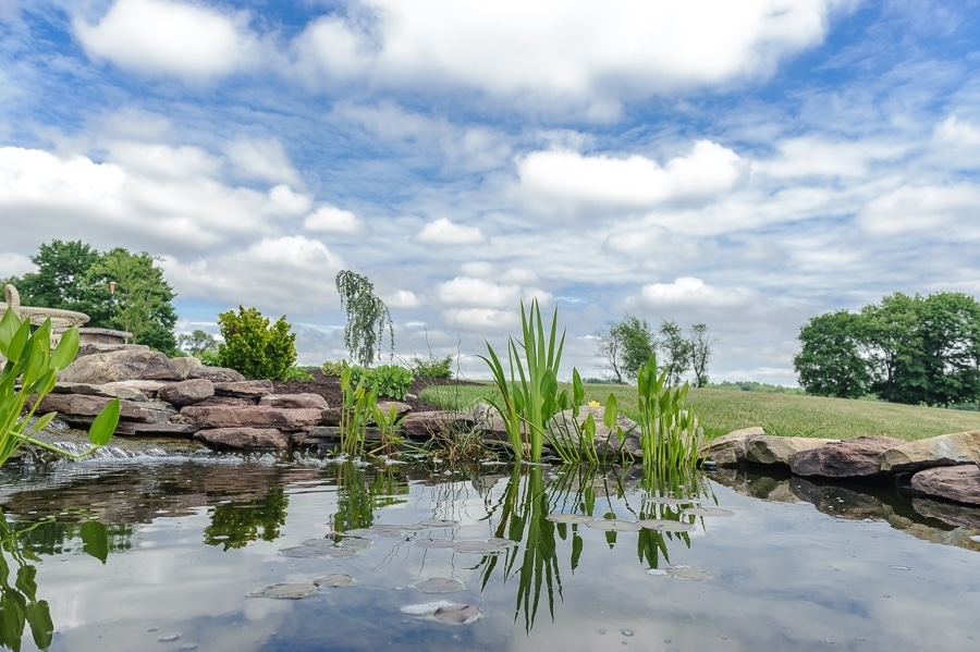 Pond Services Riverview Tree & Landscaping Berks County, PA