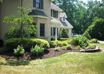 Riverview Tree Landscaping Services