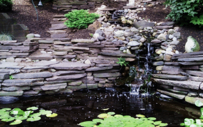 How a Backyard Water Feature Create a Serene Retreat