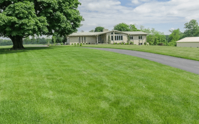 Tips for Successful Grass Seeding: A Complete Guide