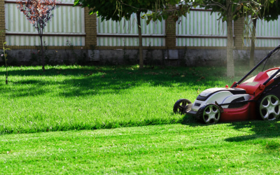 Summer Lawn Care: 5 Tips to Maintain a Healthy Lawn