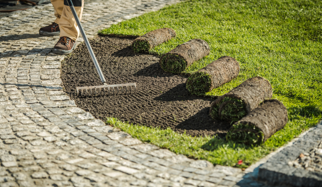 Professional Garden Landscaping Services to Transform Your Space