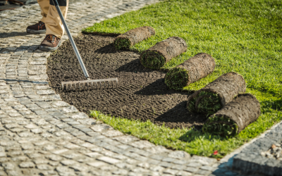 Professional Garden Landscaping Services to Transform Your Space