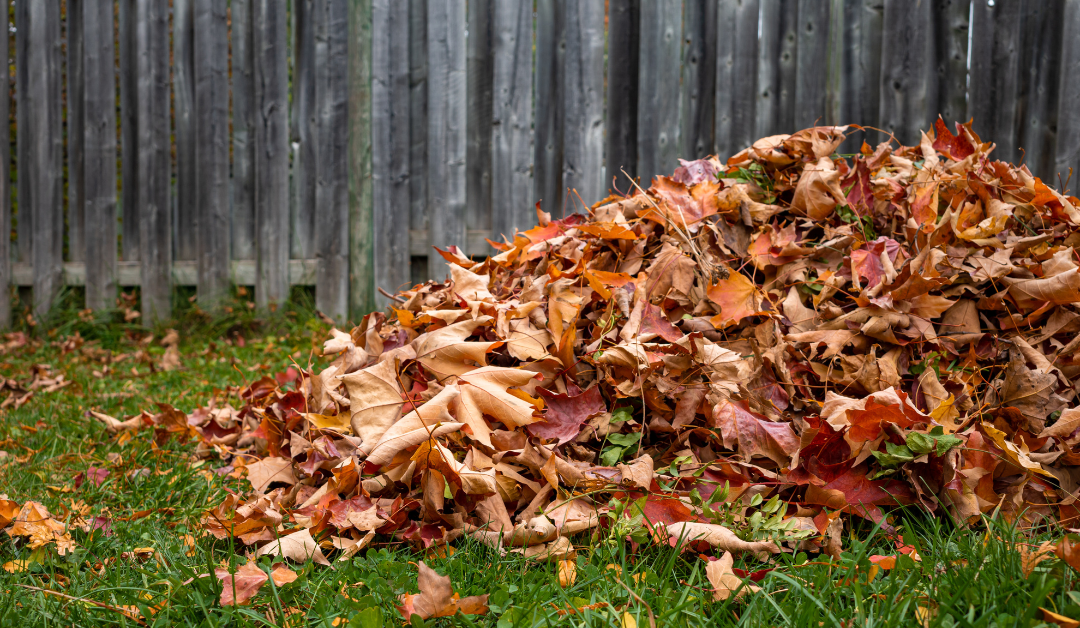 Fall Leaf Removal Services for Your Home or Business with Riverview Tree & Landscaping