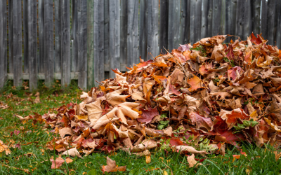 Fall Leaf Removal Services for Your Home or Business with Riverview Tree & Landscaping