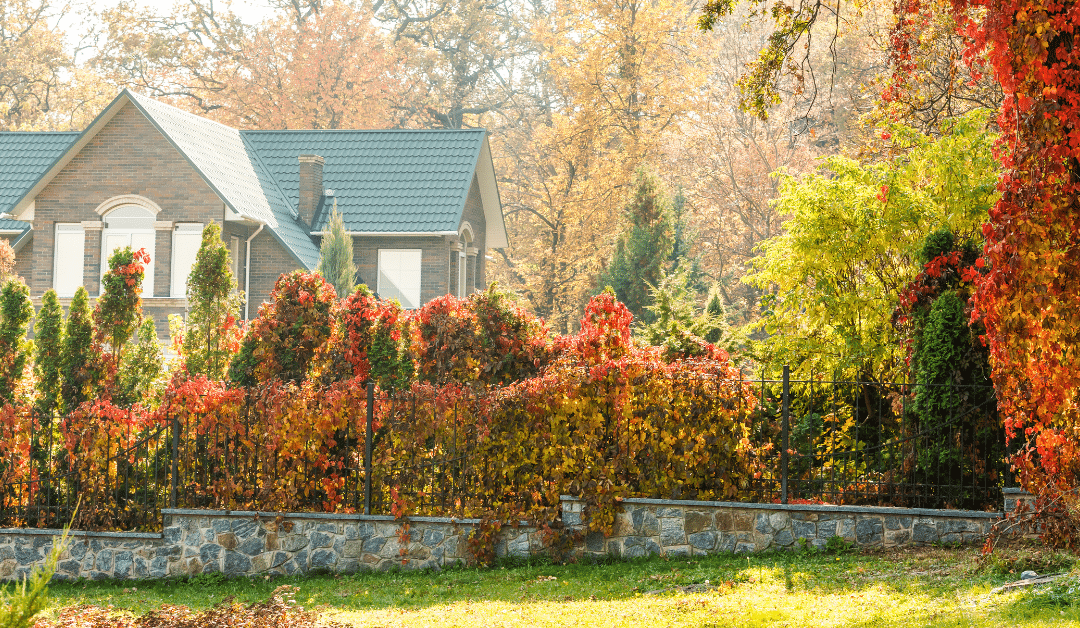 The Best Front Yard Landscaping Ideas for the Fall Season