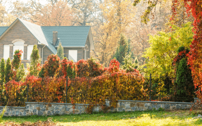 The Best Front Yard Landscaping Ideas for the Fall Season