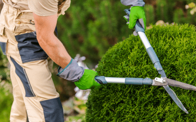 Top Questions to Ask Your Landscape Contractors Before Starting a Project