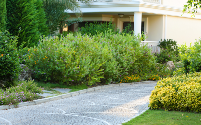Landscapers Reveal the 10 Best Plants for Pennsylvania Yards