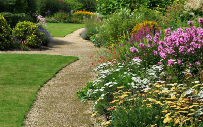 Best Outdoor Plants for Full Sun Gardens in Pennsylvania