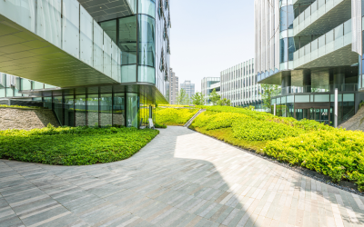 6 Tips for Commercial Landscaping and Your First Impression